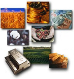  Commodity Research 